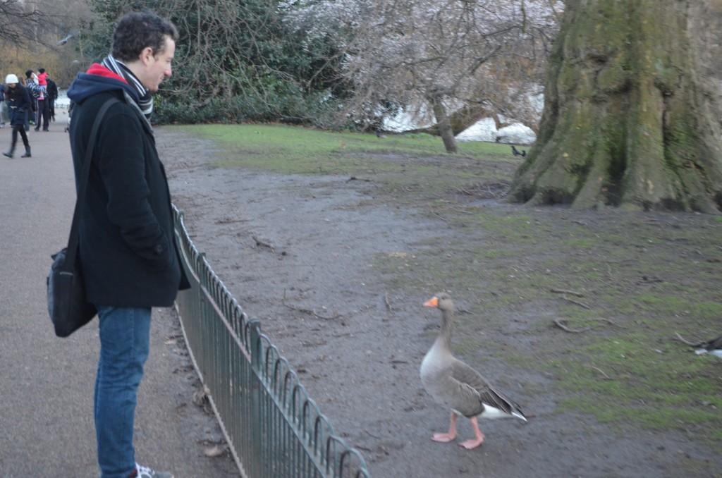 Luke off talking to a duck