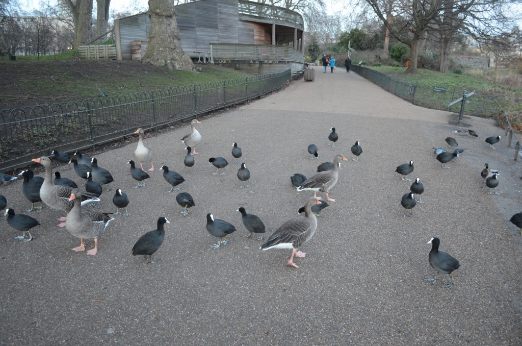 London Traffic