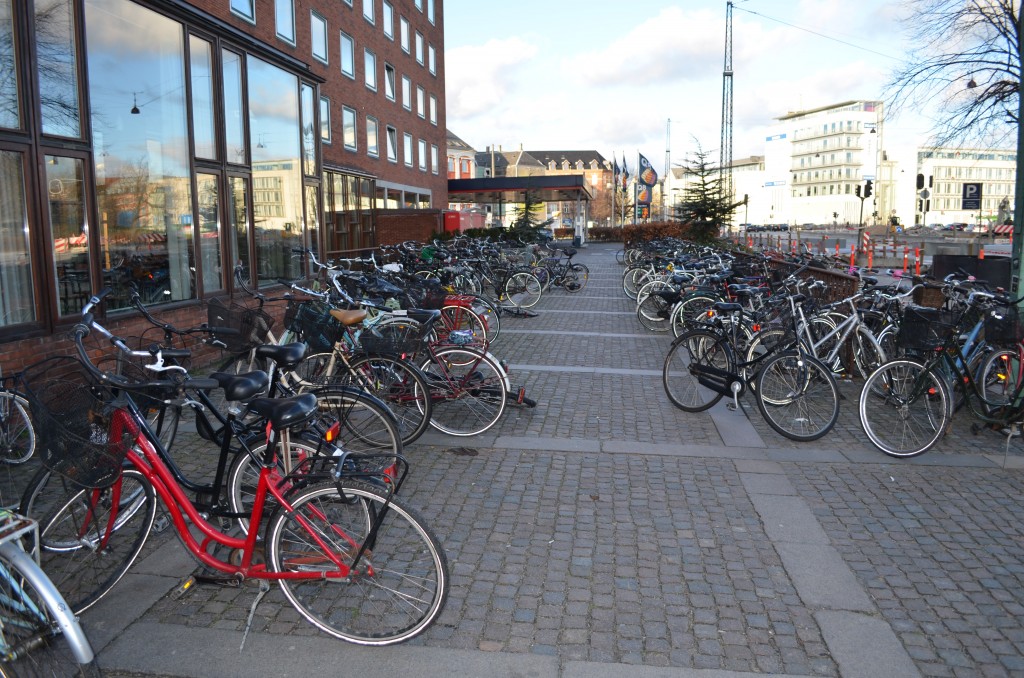 Bikes Outside Egmont, Copenhagen