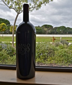 An Imperial (6L bottle) of Malo Tojo Tinto
