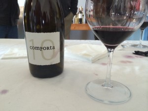 Comporta 10 Tinto, an unfiltered Alicante Bouschet from Herdade da Comporta, Península de Setúbal, Portugal