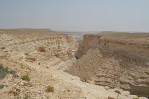 Ein Avdat, Negev Desert, Israel
