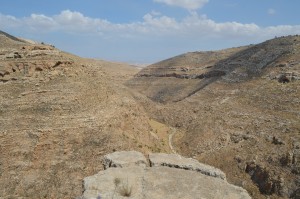 Wadi Tekoa, West Bank, Israel