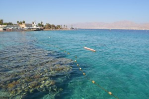 Eilat Coral Reserve in the Red Sea, with Eilat and Aqaba in the distance; Eilat, Israel