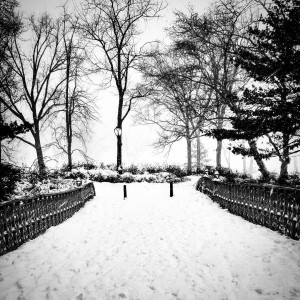 Winter Storm Jonas, Central Park