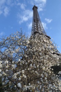 Spring, Tour Eiffel