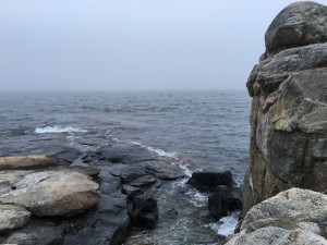 View of Long Island Sound from Enders Island, Connecticut