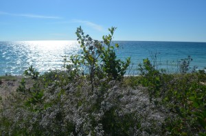 View of Lake Michigan from Sleeping Bear Dunes