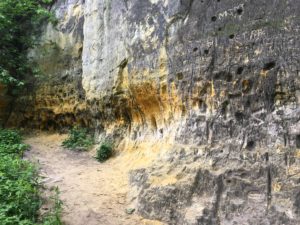 Platteville Limestone at Minnehaha Park; Minneapolis, MN