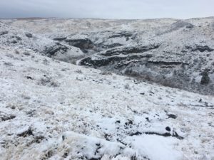 Cowiche Canyon in winter