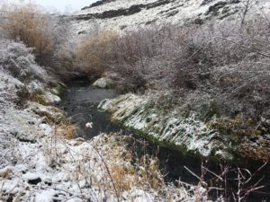 Cowiche Creek in winter
